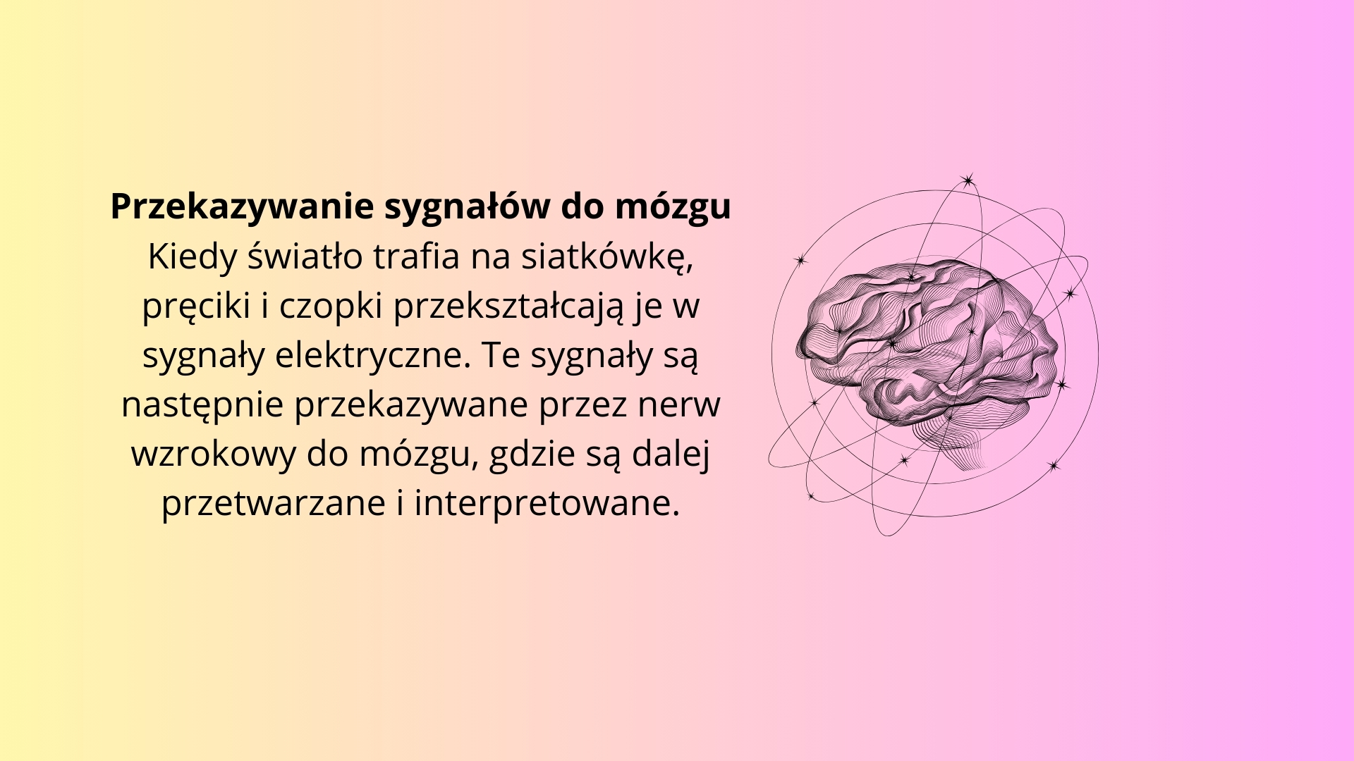 Prezentacja 2